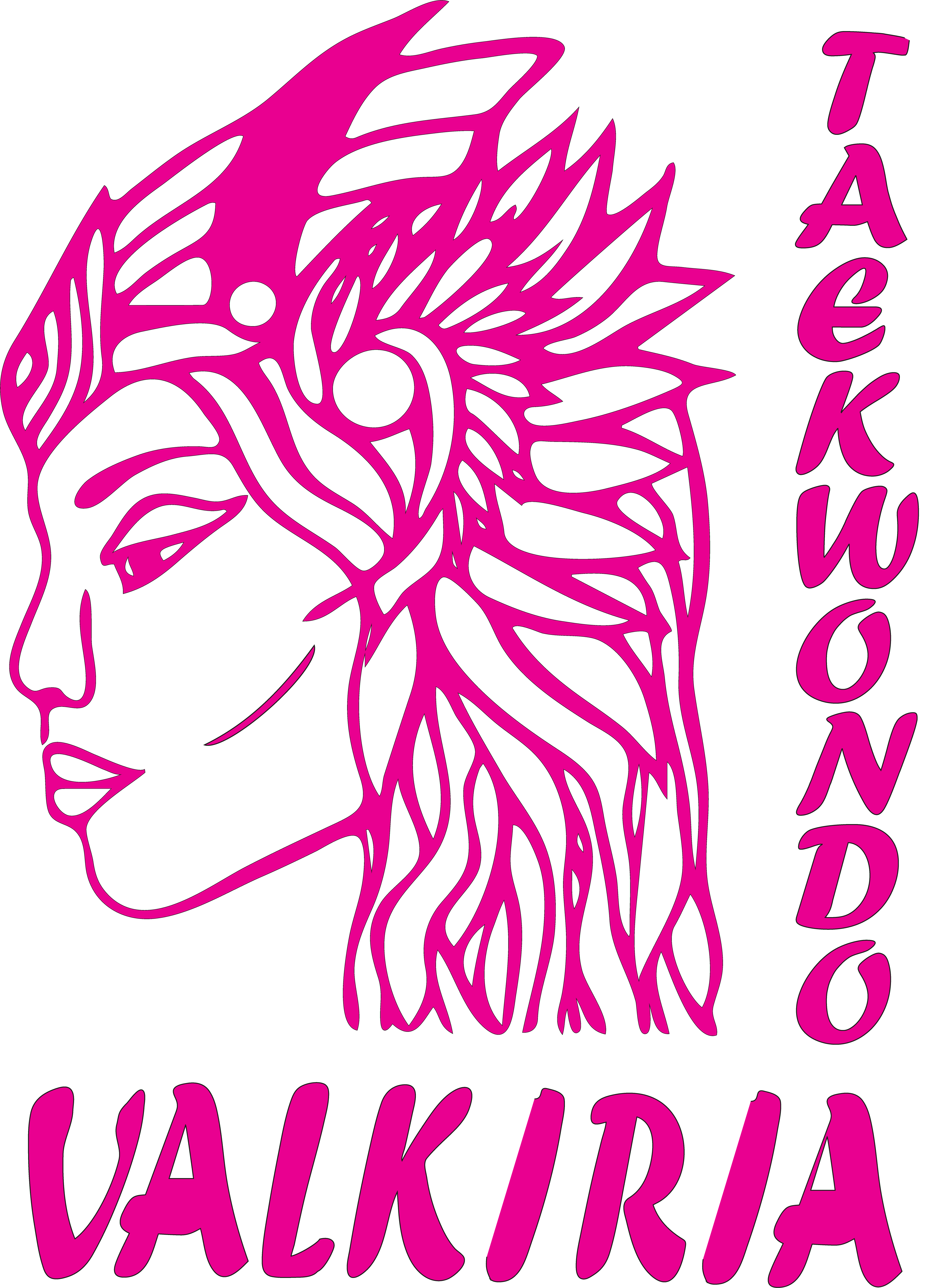 Logo CLUB VALKIRIA TAEKWONDO XERACO Y GRAU DE GANDIA